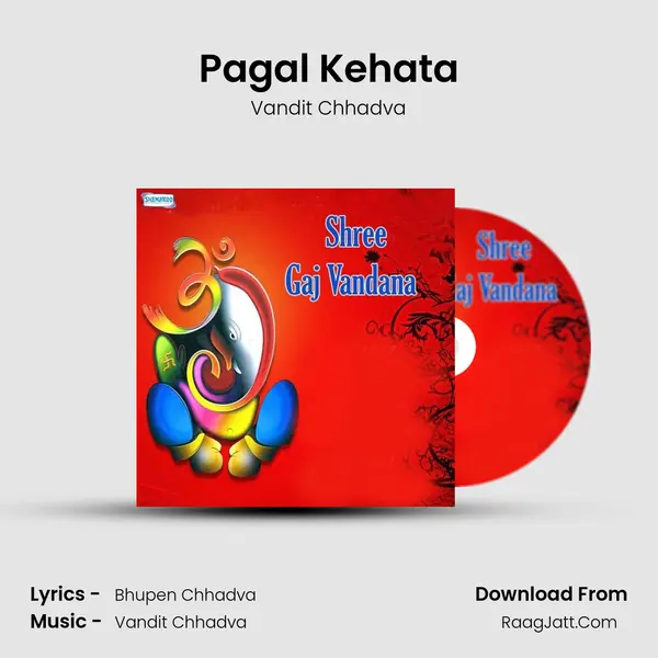 Pagal Kehata MP3 Song by Vandit Chhadva Cover