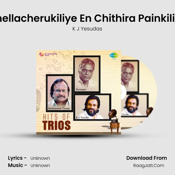 Chellacherukiliye En Chithira Painkiliye Cover