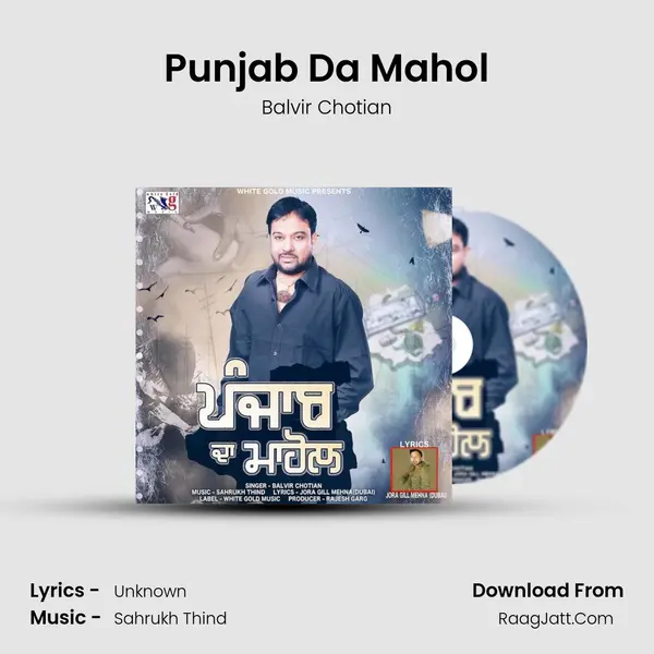 Punjab Da Mahol MP3 Song by Balvir Chotian Cover