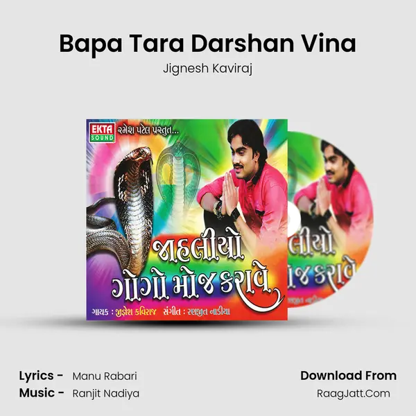 Bapa Tara Darshan Vina MP3 Song by Jignesh Kaviraj Cover