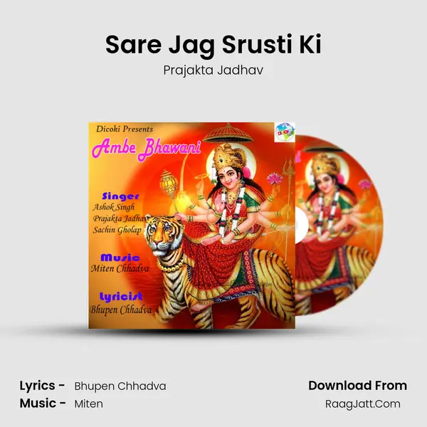 Sare Jag Srusti Ki Cover