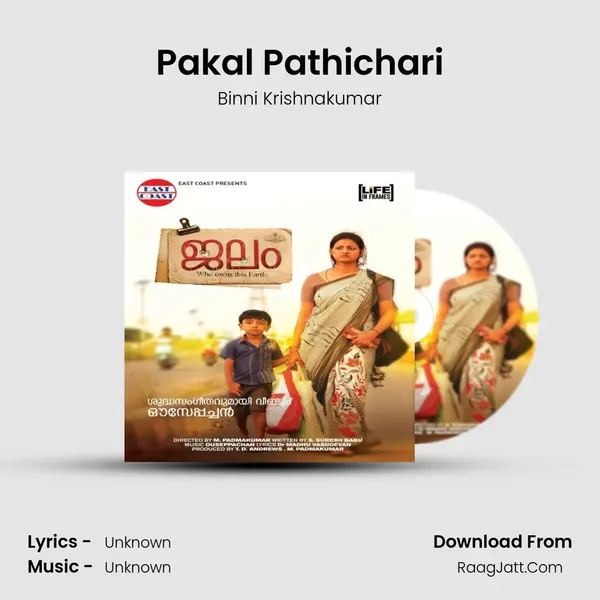 Pakal Pathichari MP3 Song by Binni Krishnakumar Cover