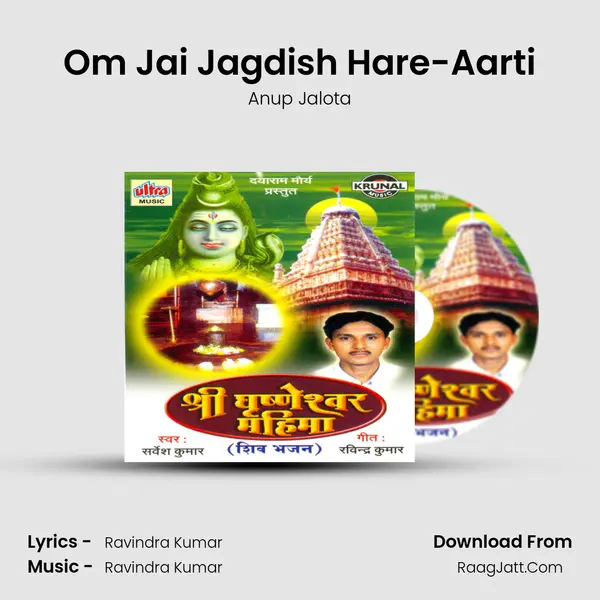 Om Jai Jagdish Hare-Aarti MP3 Song by Anup Jalota Cover