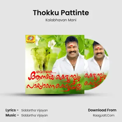 Thokku Pattinte MP3 Song by Kalabhavan Mani Cover