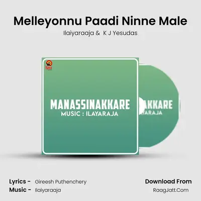 Melleyonnu Paadi Ninne Male MP3 Song by Ilaiyaraaja Cover