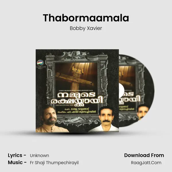Thabormaamala MP3 Song by Bobby Xavier Cover