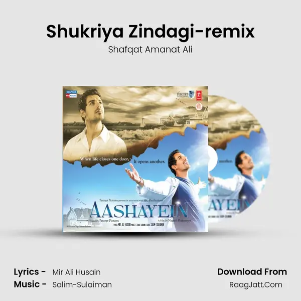 Shukriya Zindagi-remix MP3 Song by Shafqat Amanat Ali Cover