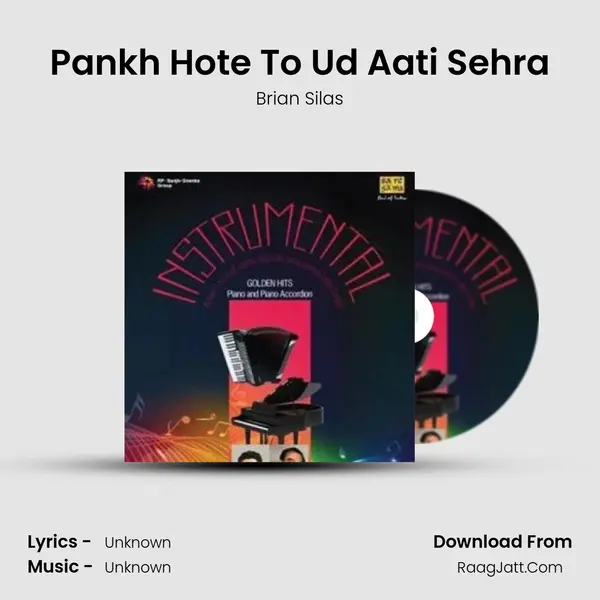 Pankh Hote To Ud Aati Sehra Cover