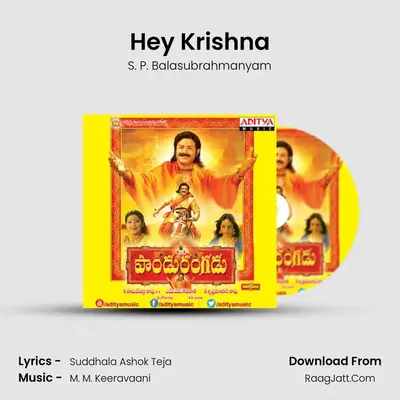 Hey Krishna MP3 Song by S. P. Balasubrahmanyam Cover