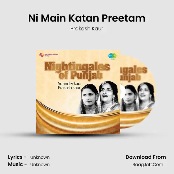 Ni Main Katan Preetam Cover