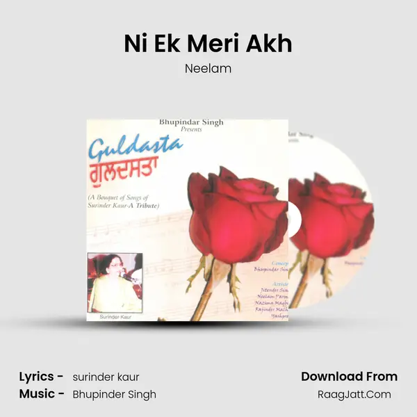 Ni Ek Meri Akh MP3 Song by Neelam Cover