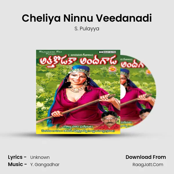 Cheliya Ninnu Veedanadi MP3 Song by S. Pulayya Cover