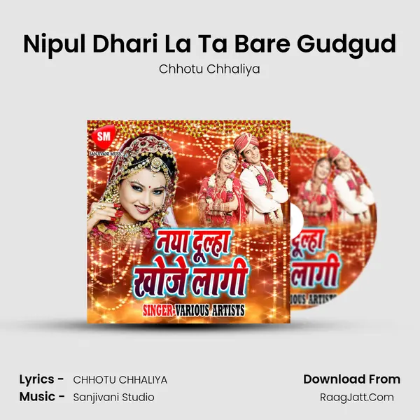 Nipul Dhari La Ta Bare Gudgud MP3 Song by Chhotu Chhaliya Cover