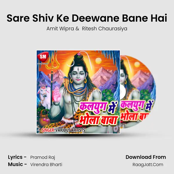 Sare Shiv Ke Deewane Bane Hai mp3 song