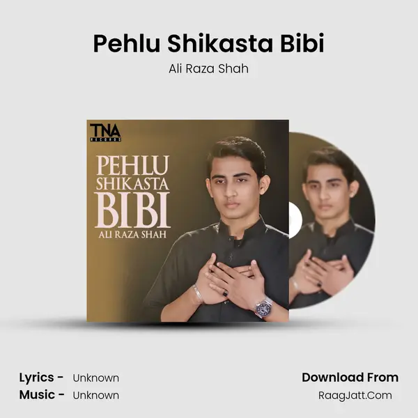 Pehlu Shikasta Bibi - Single - Ali Raza Shah