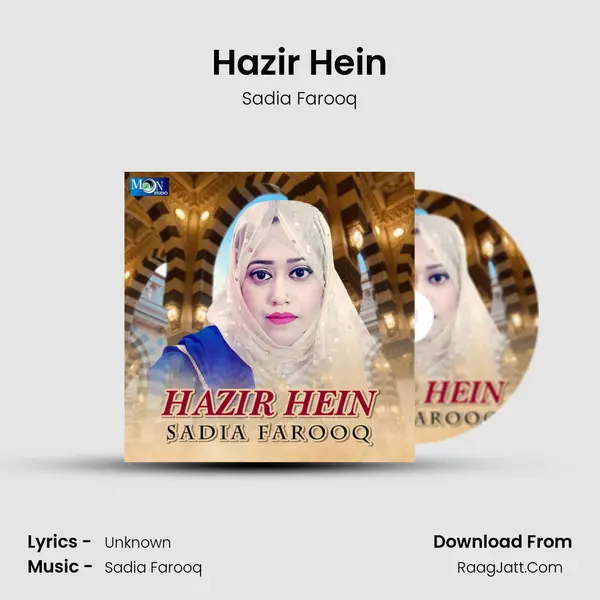 Hazir Hein - Single - Sadia Farooq