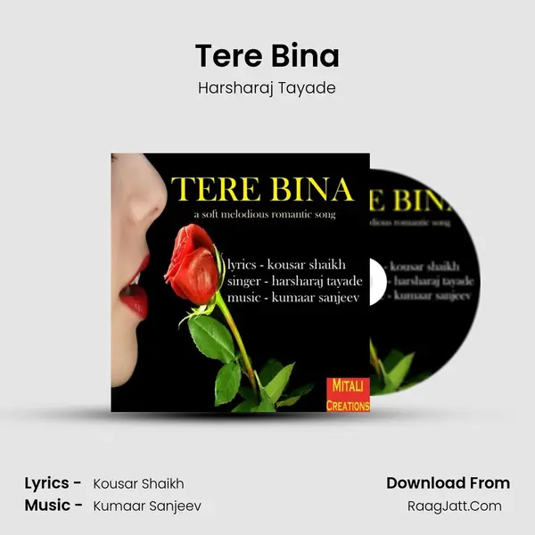 Tere Bina Cover