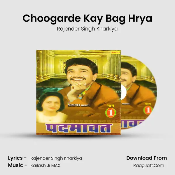 Choogarde Kay Bag Hrya Cover