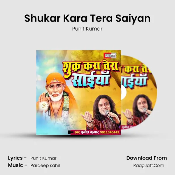 Shukar Kara Tera Saiyan MP3 Song by Punit Kumar Cover