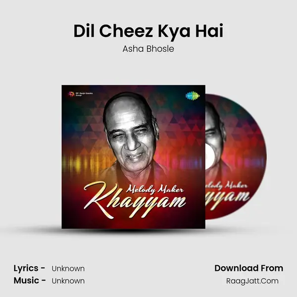 Dil Cheez Kya Hai Cover