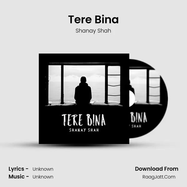 Tere Bina MP3 Song by Shanay Shah Cover