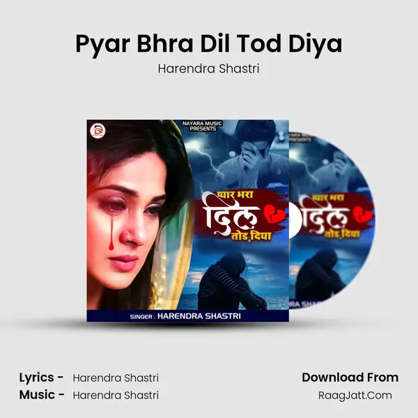 Pyar Bhra Dil Tod Diya mp3 song