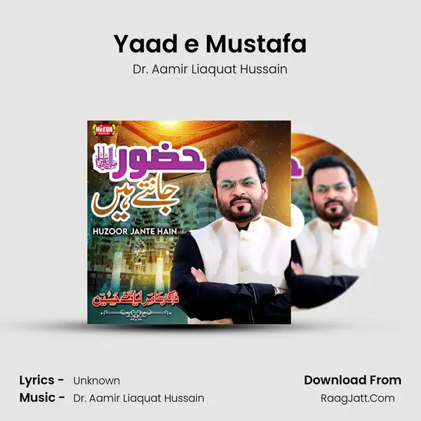 Yaad e Mustafa MP3 Song by Dr. Aamir Liaquat Hussain Cover