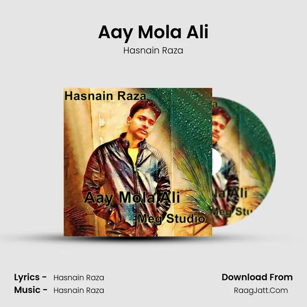 Aay Mola Ali - Hasnain Raza