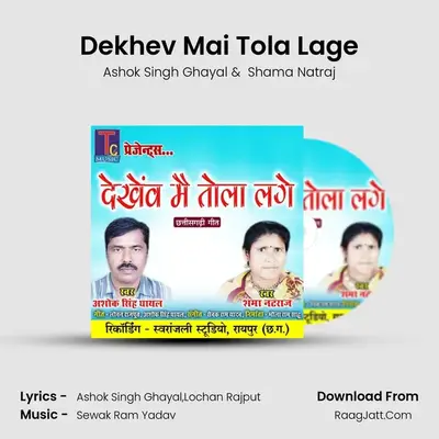 Dekhev Mai Tola Lage mp3 song