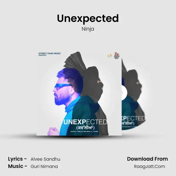 Unexpected - Ninja