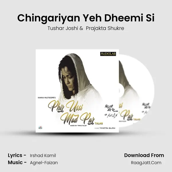 Chingariyan Yeh Dheemi Si MP3 Song by Tushar Joshi Cover