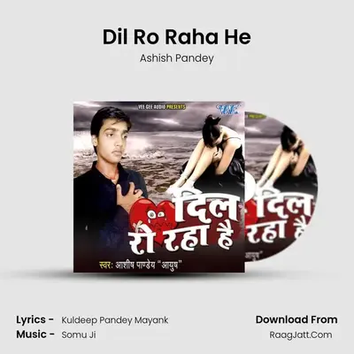 Dil Ro Raha He - Ashish Pandey