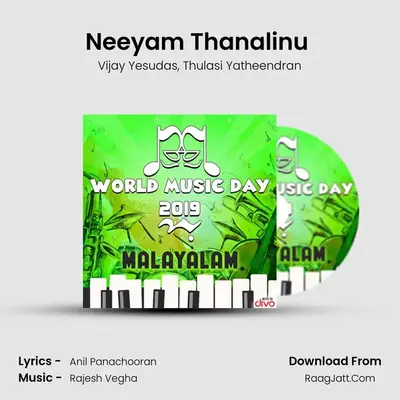 Neeyam Thanalinu (Duet) MP3 Song by Vijay Yesudas Cover