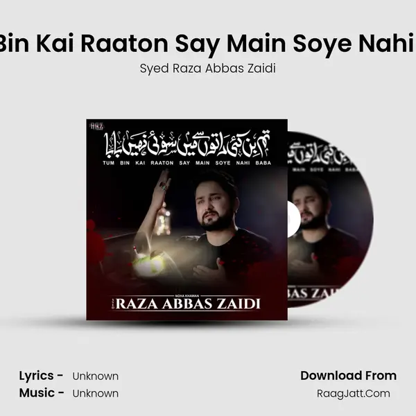 Tum Bin Kai Raaton Say Main Soye Nahi Baba - Single - Syed Raza Abbas Zaidi