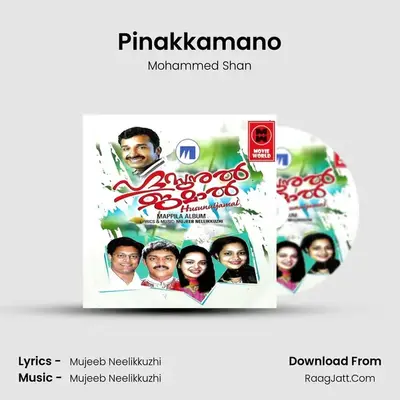Pinakkamano MP3 Song by Mohammed Shan Cover