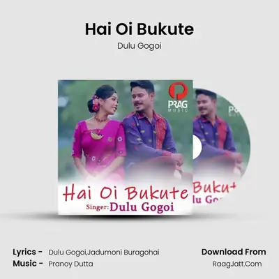 Hai Oi Bukute MP3 Song by Dulu Gogoi Cover