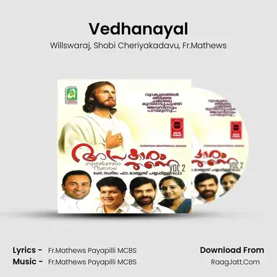 Vedhanayal MP3 Song by Willswaraj Cover