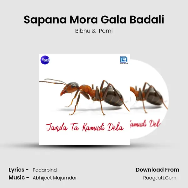 Sapana Mora Gala Badali MP3 Song by Bibhu Cover