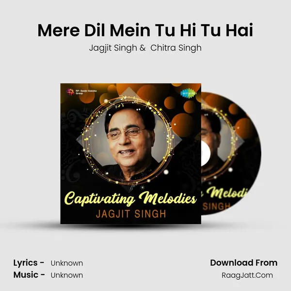 Mere Dil Mein Tu Hi Tu Hai Cover