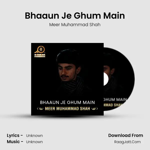 Bhaaun Je Ghum Main - Single - Meer Muhammad Shah