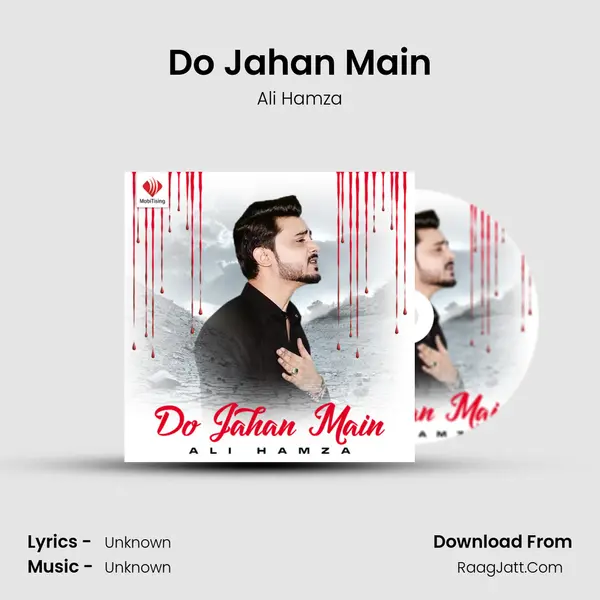 Do Jahan Main MP3 Song by Ali Hamza Cover