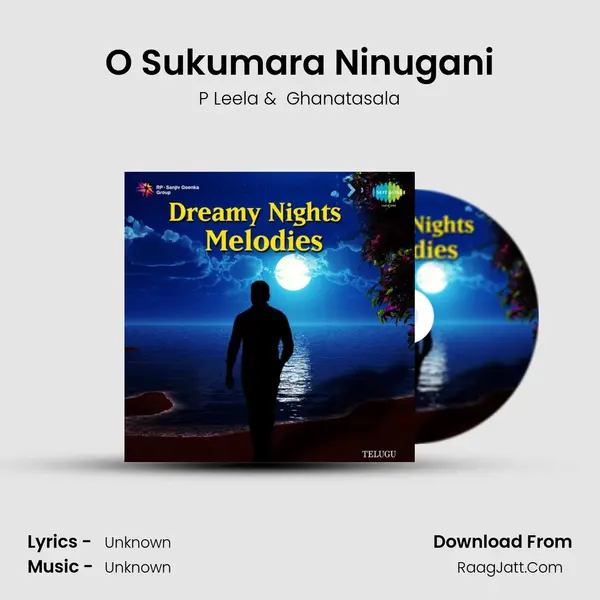 O Sukumara Ninugani MP3 Song by P Leela Cover