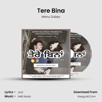 Tere Bina MP3 Song by Manu Dubey Cover