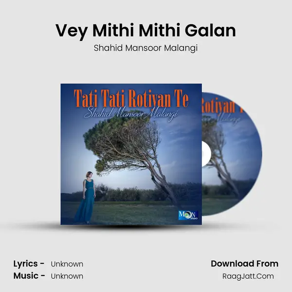 Vey Mithi Mithi Galan MP3 Song by Shahid Mansoor Malangi Cover