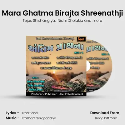Mara Ghatma Birajta Shreenathji mp3 song