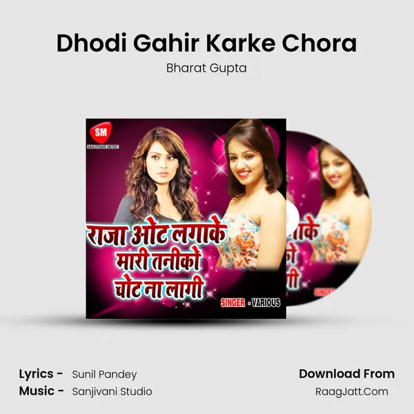 Dhodi Gahir Karke Chora MP3 Song by Bharat Gupta Cover