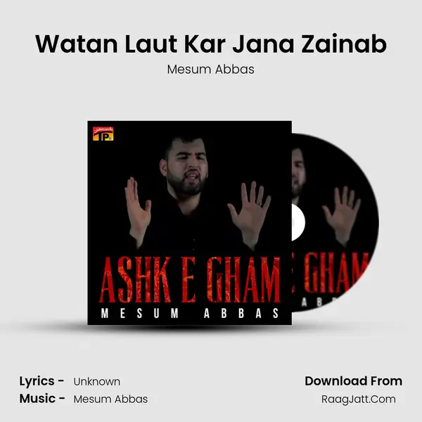 Watan Laut Kar Jana Zainab mp3 song