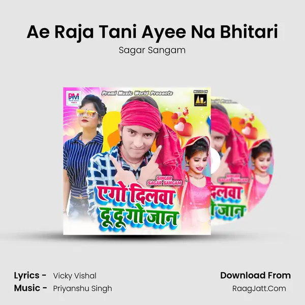 Ae Raja Tani Ayee Na Bhitari Cover