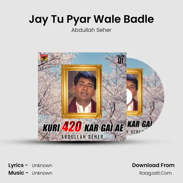 Jay Tu Pyar Wale Badle MP3 Song by Abdullah Seher Cover