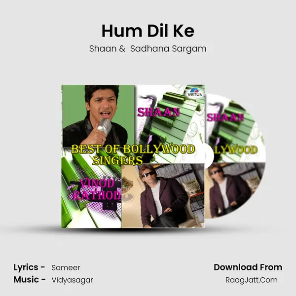 Hum Dil Ke Cover